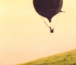Esperimento di volo, 1995
